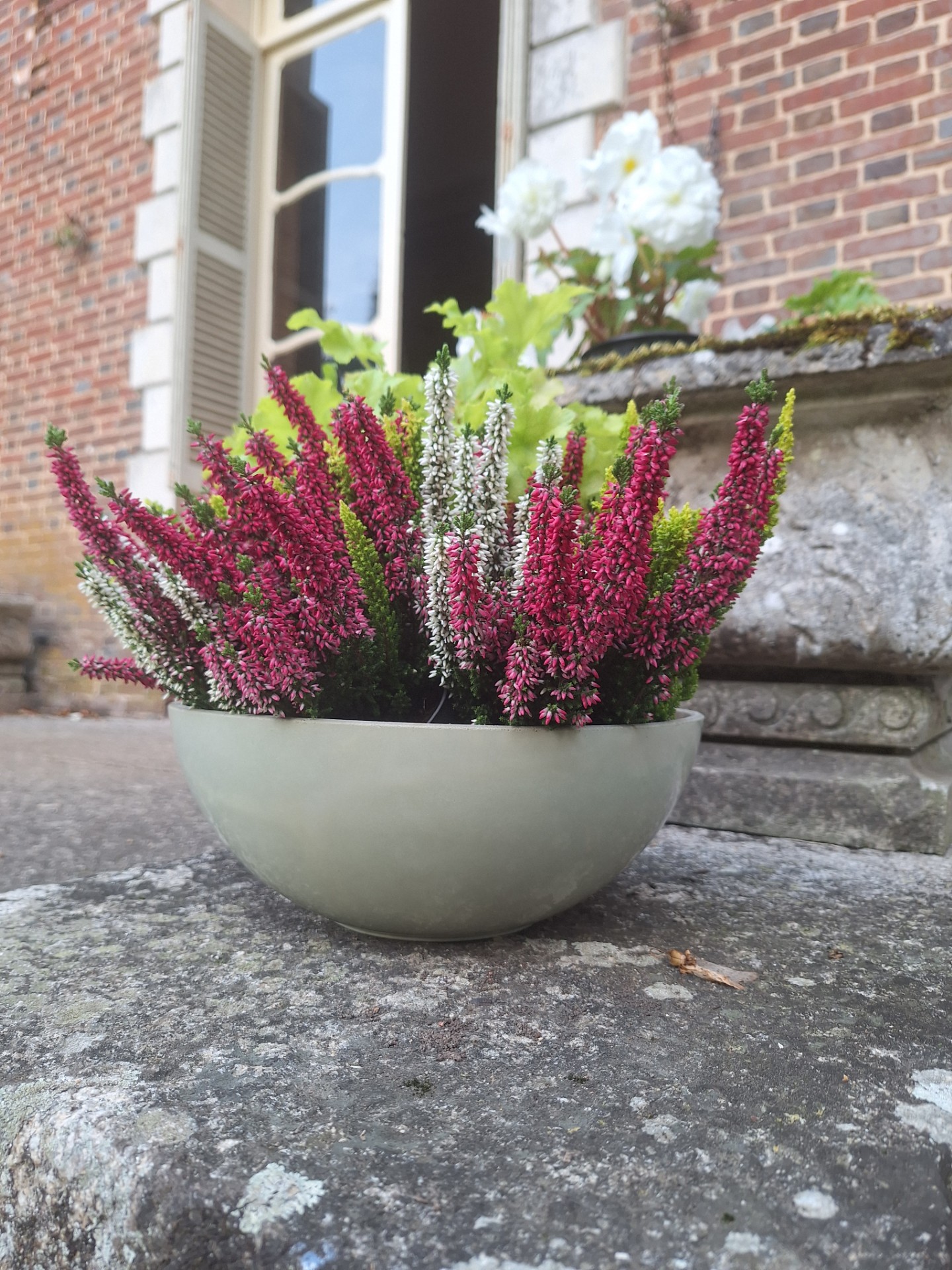 Compo coupe 1 vert tilleul Anne Jordan