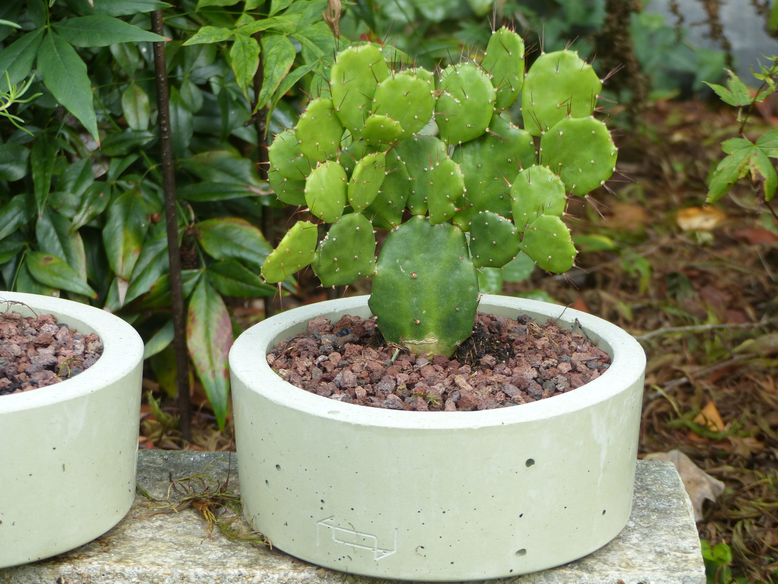 Pot en béton teinté dans la masse