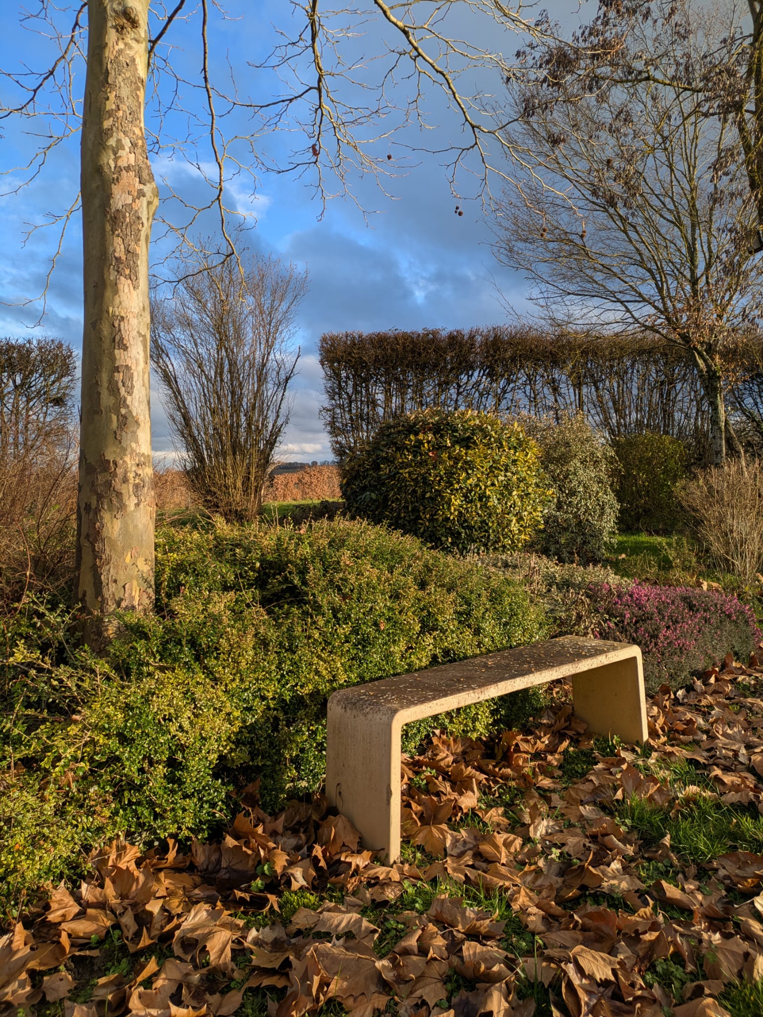 Banc ton pierre ; banc en béton dans le jardin ; banc en Bourgogne ; teintes d'automne ; banc extérieur ; banc permanent ; banc résistant au gel ; mobilier permanent ; mobilier artisanal ; mobilier original ; banc de jardin contemporain ; le béton au jardin ; modernité dans le jardin ; oser la modernité dans le jardin ; contraste ancien moderne ; couleurs d'automne dans le jardin ; l'équilibre parfait dans le jardin ; nature morte dans le jardin ; mon jardin est un tableau ; peindre mon jardin ; 